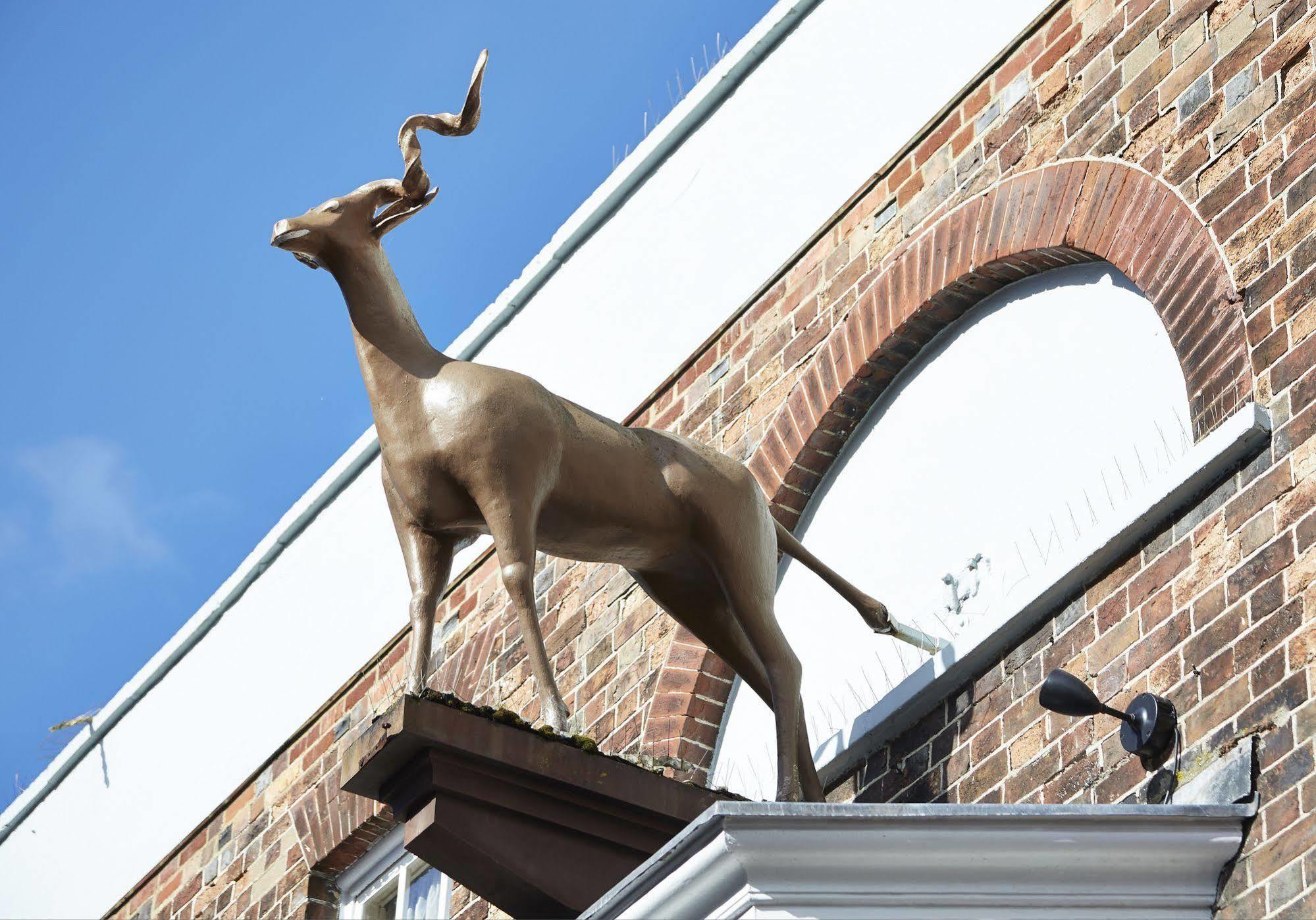 Hotel Antelope By Greene King 3*